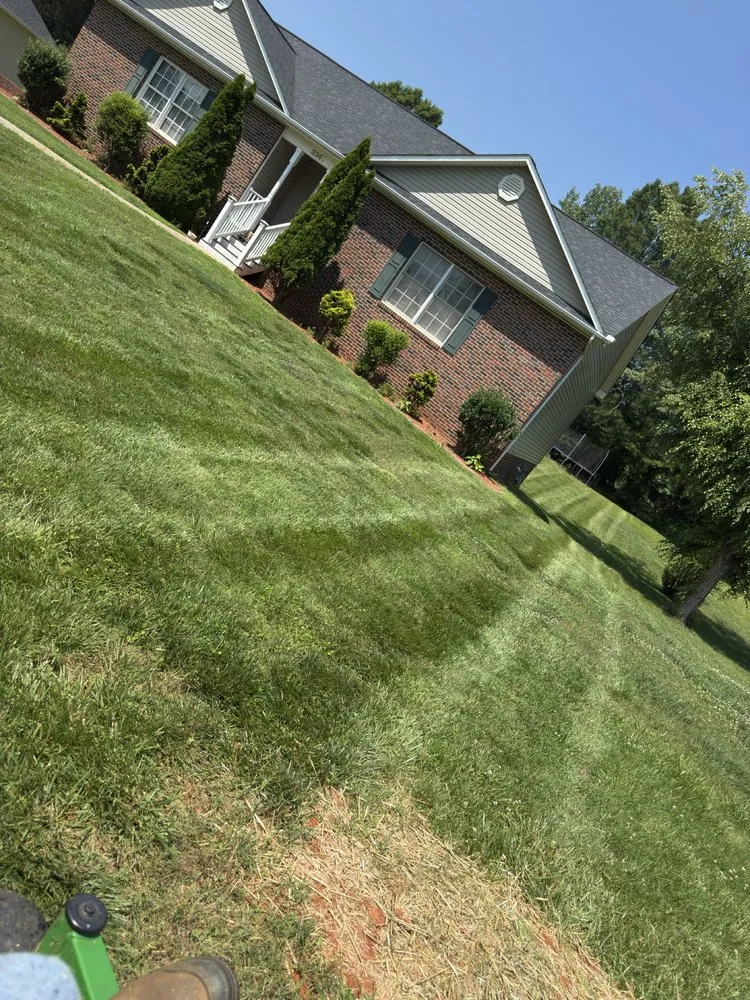 Expert yard cleanup service for year-round maintenance in Hickory, NC by Better View