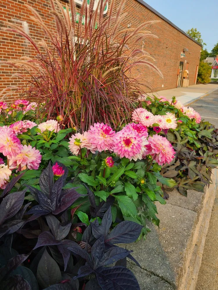 Top-rated lawn care service experts serving Hadley, MA - Better View Landscapes