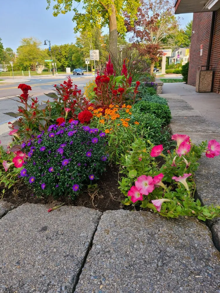 Local landscape design experts serving Hadley, MA - Better View Landscapes