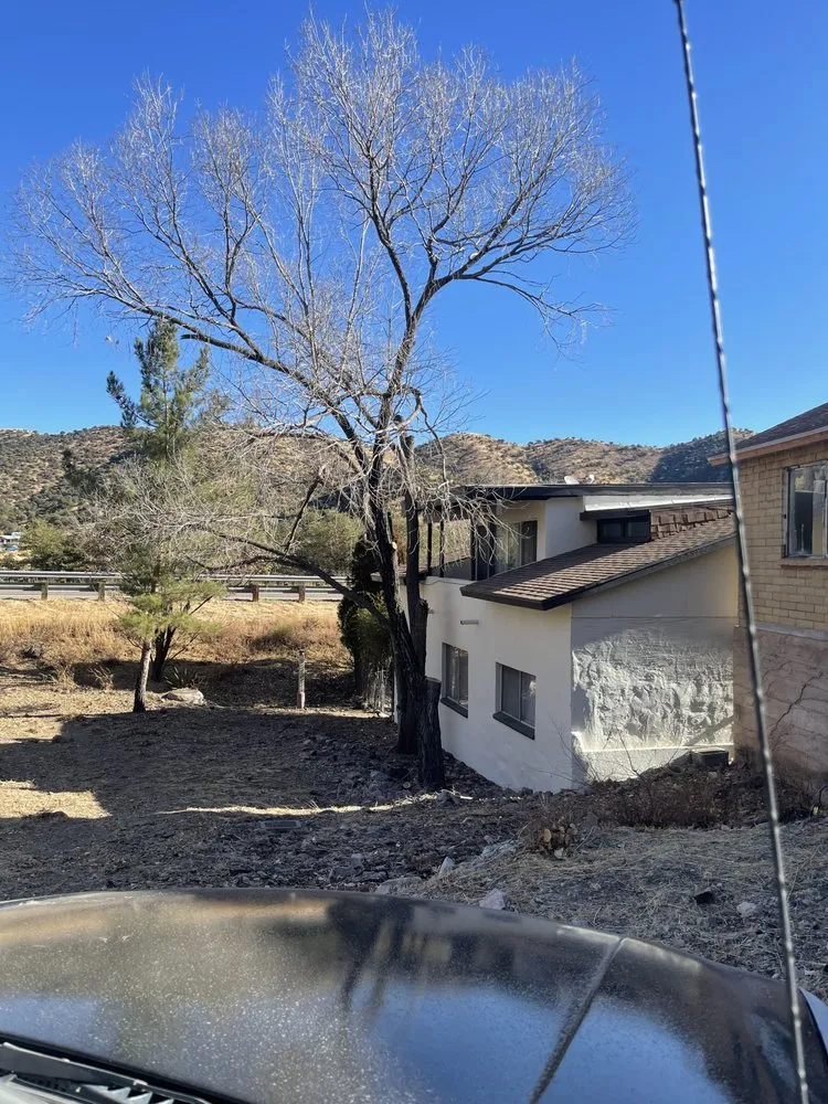 Professional yard maintenance in Tucson, AZ by Better View Landscaping and More