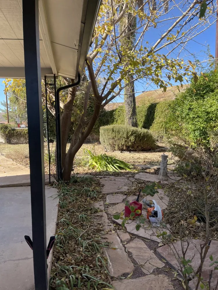 Professional outdoor landscaping in Tucson, AZ by Better View Landscaping and More