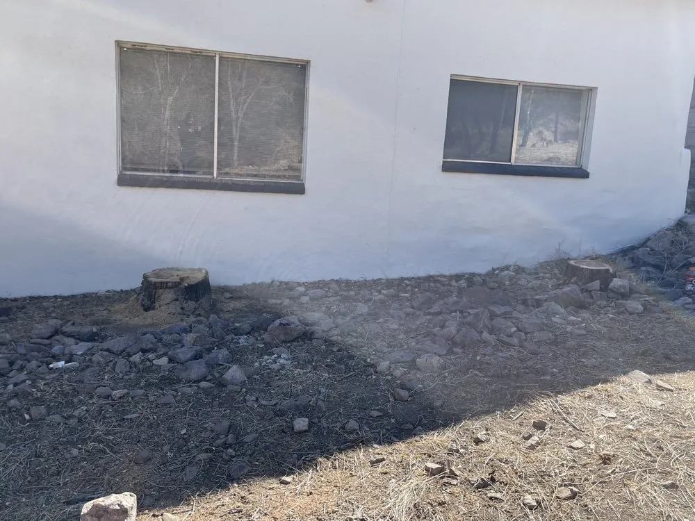 Reliable yard cleanup service experts serving Tucson, AZ - Better View Landscaping and More