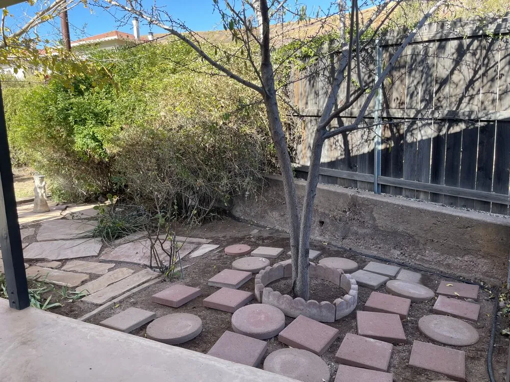 Top-rated landscaping services in Tucson, AZ - Better View Landscaping and More