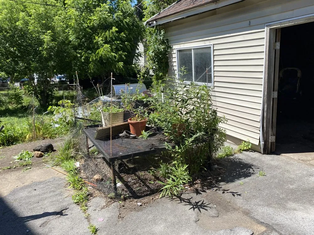 Local residential landscaping experts serving Buffalo, NY - Better View Lawn Care