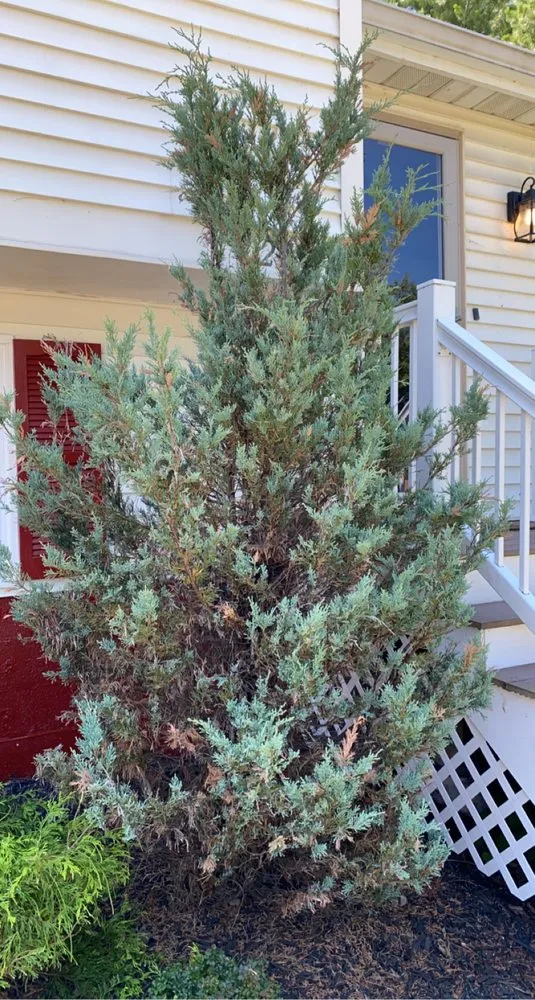 Custom outdoor landscaping for residential properties in Buffalo, NY by Better View Lawn Care