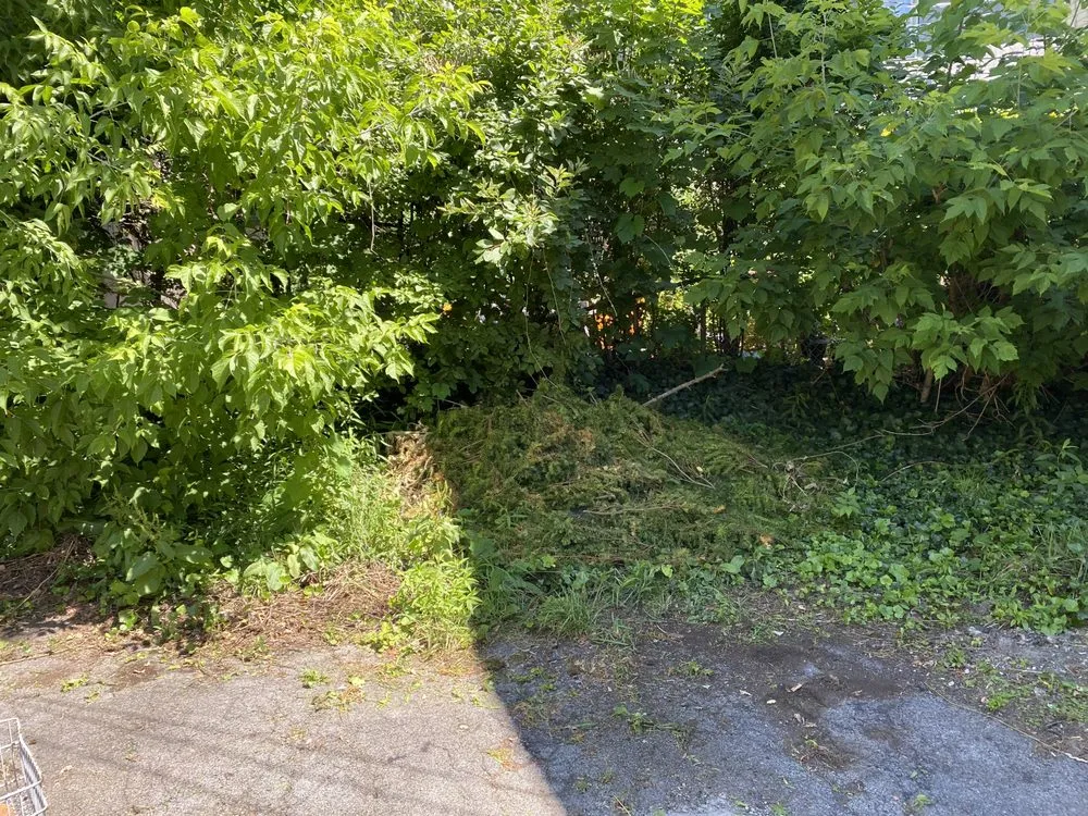 Trusted landscaping services for residential properties across Buffalo, NY - Better View Lawn Care