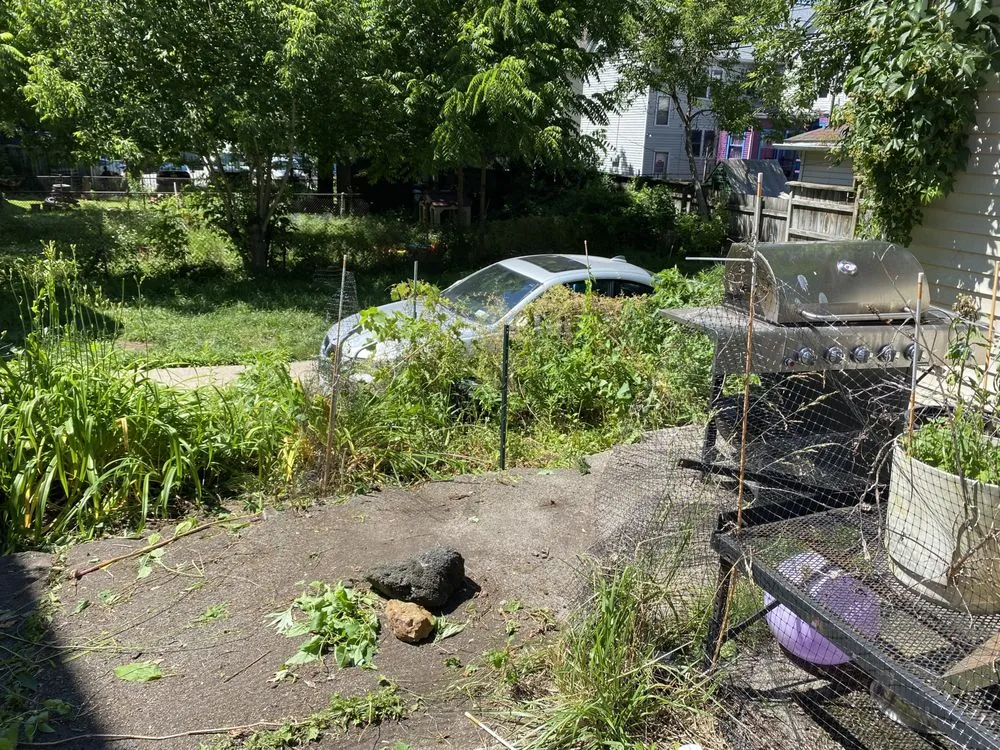 Professional residential landscaping experts serving Buffalo, NY - Better View Lawn Care