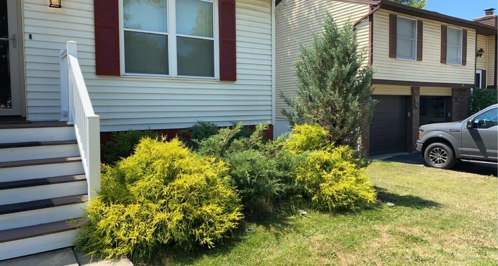 Professional yard maintenance experts serving Buffalo, NY - Better View Lawn Care