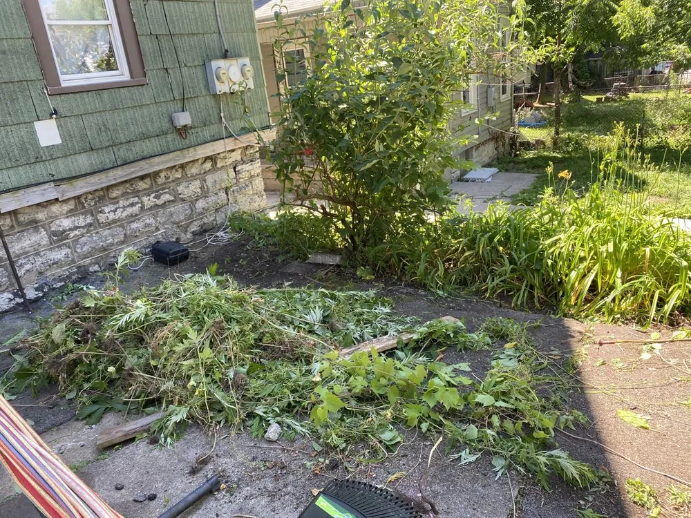 Local yard cleanup service in Buffalo, NY - Better View Lawn Care