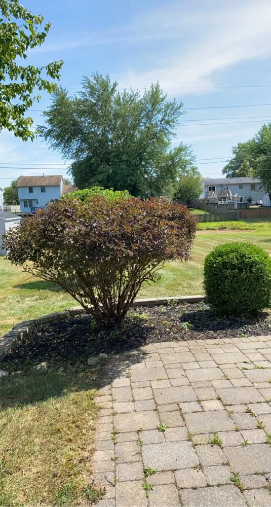 Affordable yard cleanup service experts serving Buffalo, NY - Better View Lawn Care
