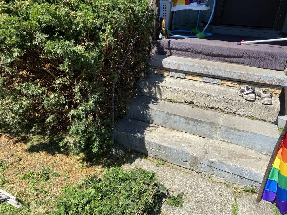 Affordable lawn mowing service for residential properties in Buffalo, NY by Better View Lawn Care