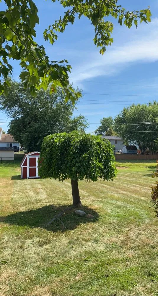 Expert landscape design experts serving Buffalo, NY - Better View Lawn Care