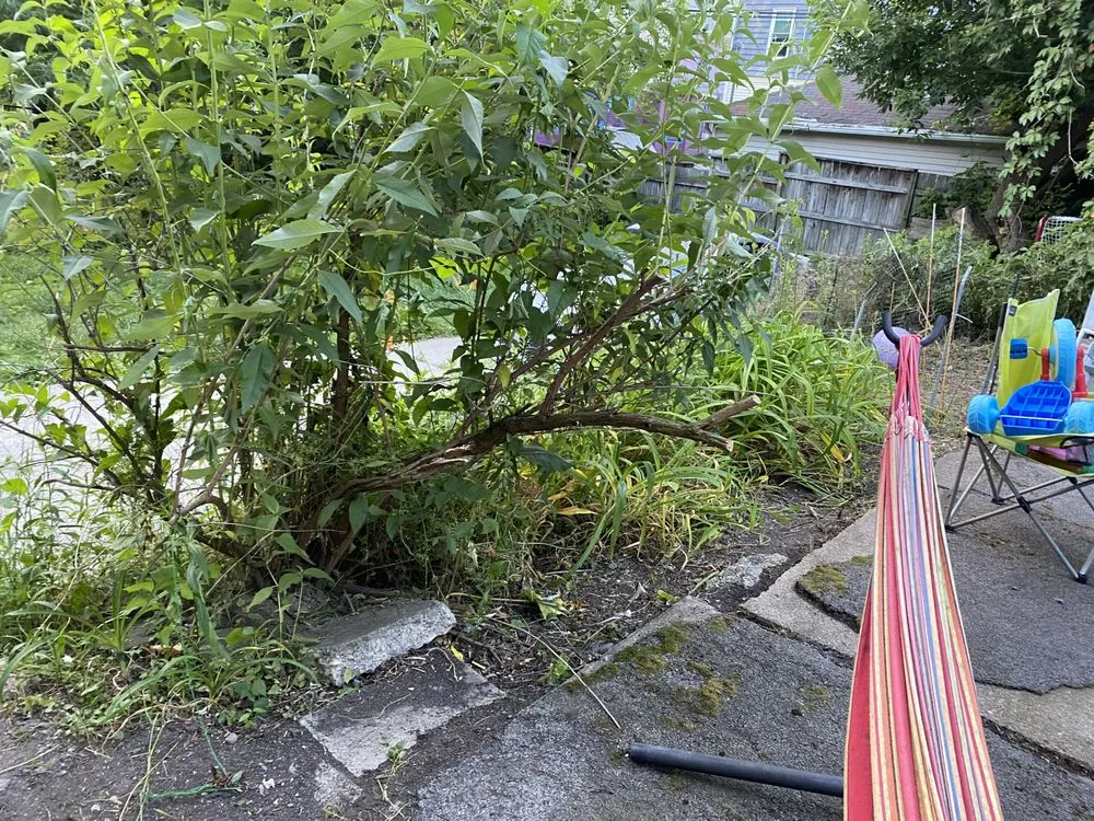 Affordable garden landscaping near you across Buffalo, NY - Better View Lawn Care