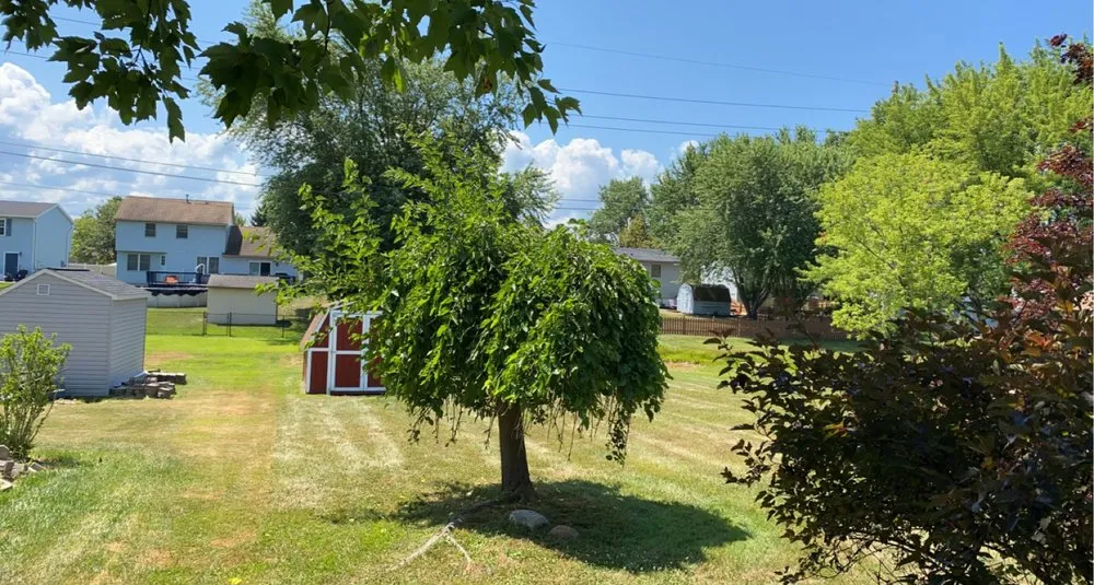 Expert landscaping services for year-round maintenance across Buffalo, NY - Better View Lawn Care