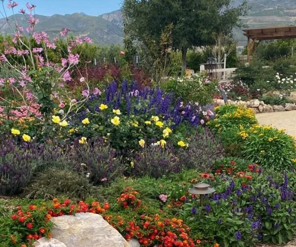 Local lawn care service for beautiful yards in Oxnard, CA by Better View