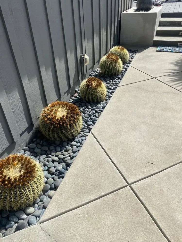 Local yard cleanup service experts serving Oxnard, CA - Better View