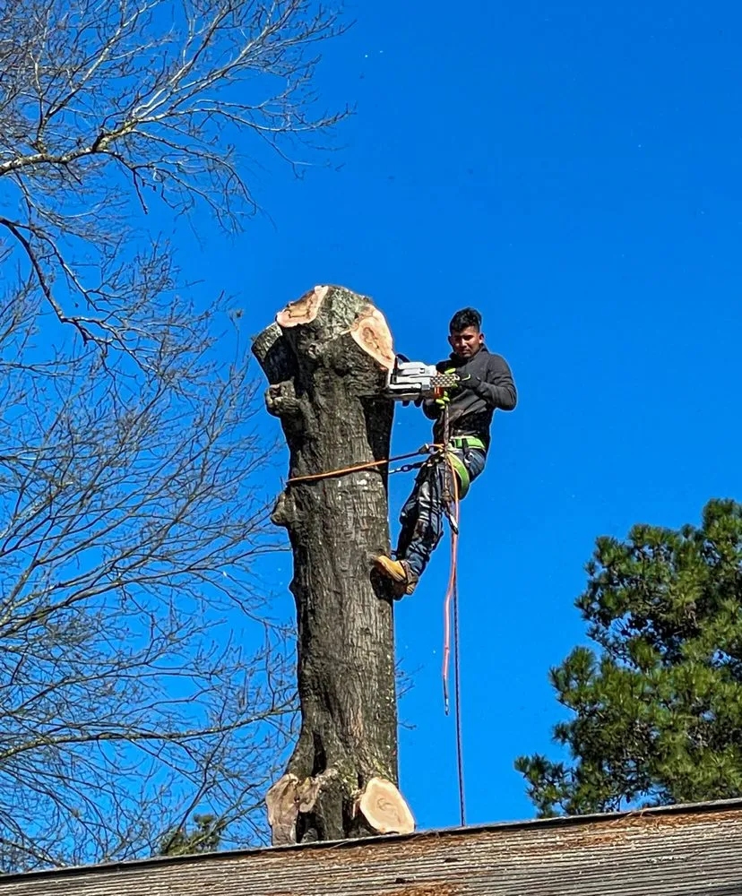 Expert lawn mowing service in Houston, TX - Better View Tree Service