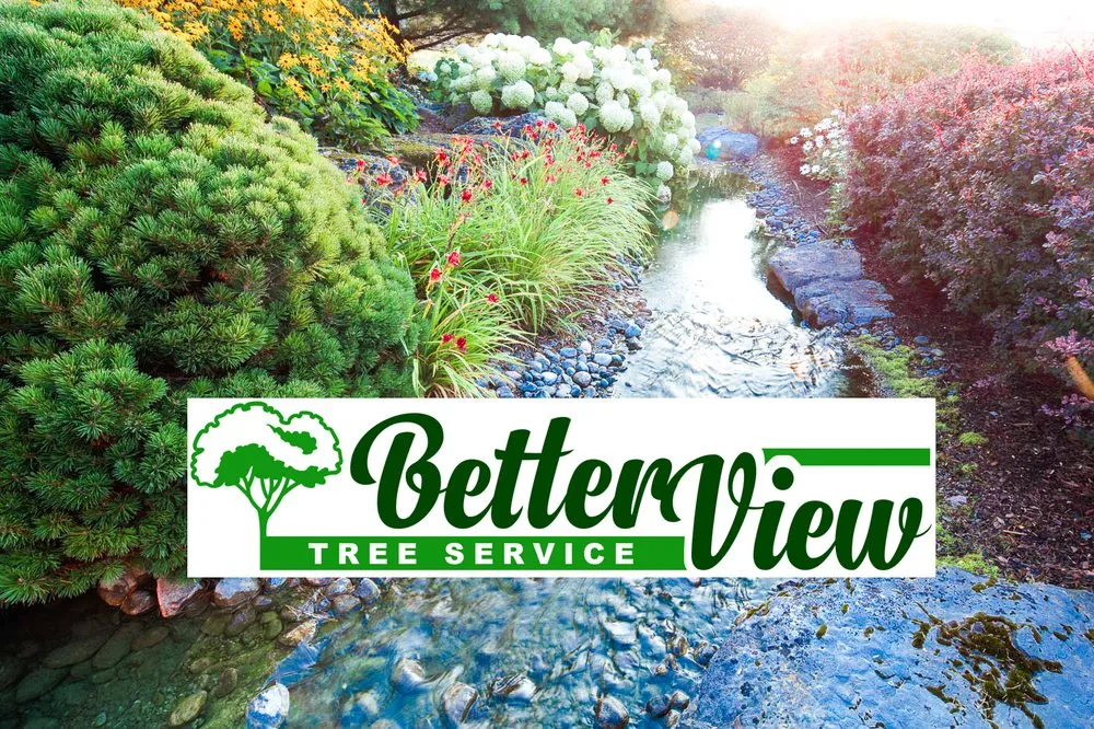 Top-rated outdoor landscaping with custom design in Houston, TX by Better View Tree Service