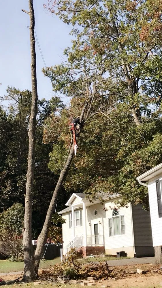 Trusted outdoor landscaping with custom design across Culpeper, VA - Better Views Tree and Landscaping