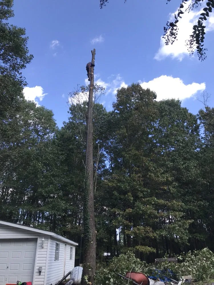 Professional garden landscaping for outdoor upgrades in Culpeper, VA by Better Views Tree and Landscaping