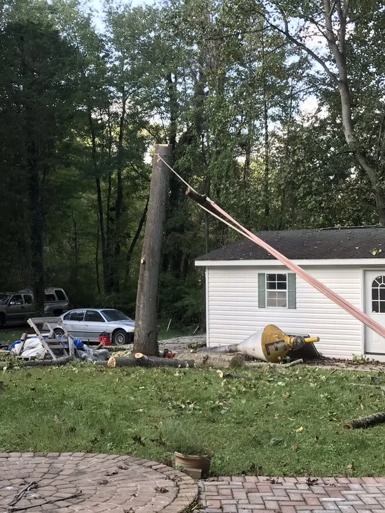 Custom landscaping services in Culpeper, VA - Better Views Tree and Landscaping