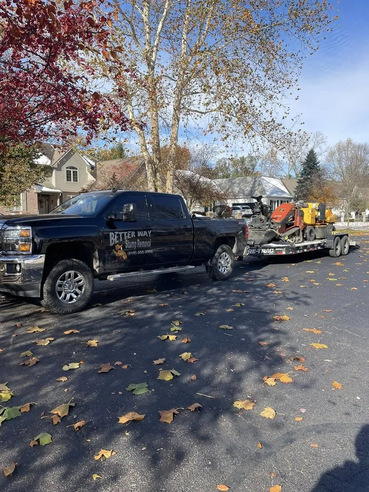 Professional yard cleanup service in Swanton, OH by Better Way Land Management