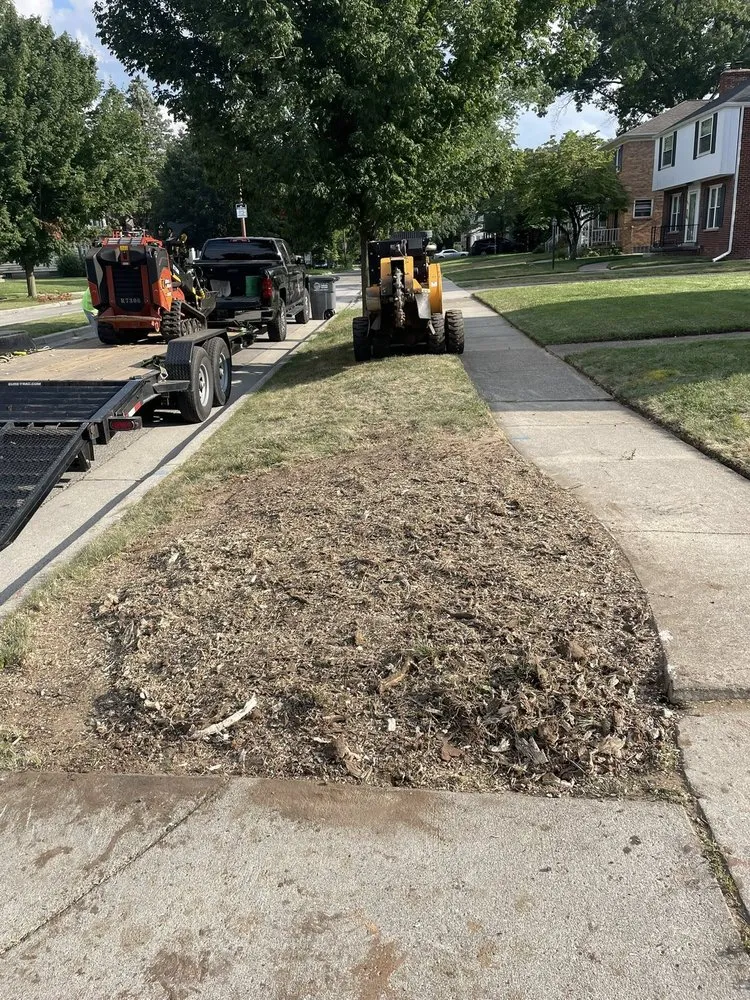 Local landscape design for beautiful yards across Swanton, OH - Better Way Land Management