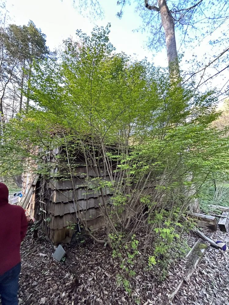 Local landscape design experts serving Southbury, CT - Better Way Landscaping