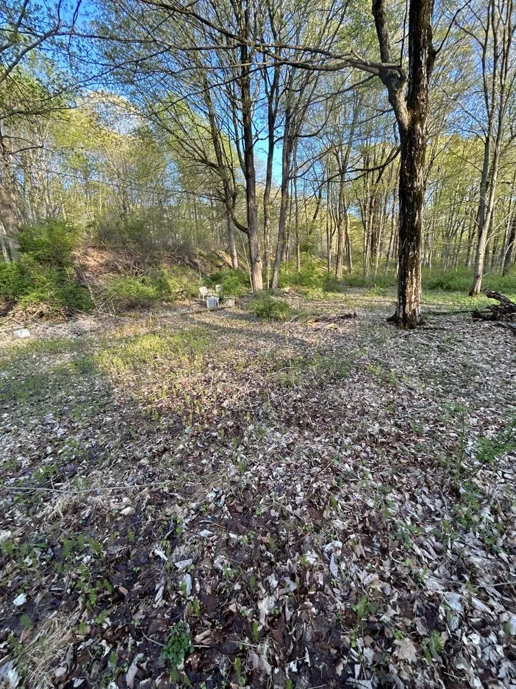 Local yard maintenance in Southbury, CT by Better Way Landscaping