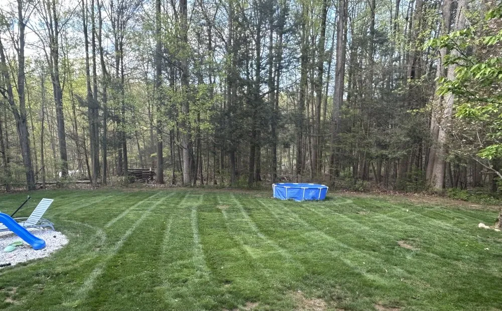 Trusted yard cleanup service in Southbury, CT - Better Way Landscaping