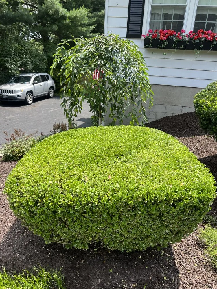 Expert garden landscaping in Wappingers Falls, NY - Bettina's Landscaping