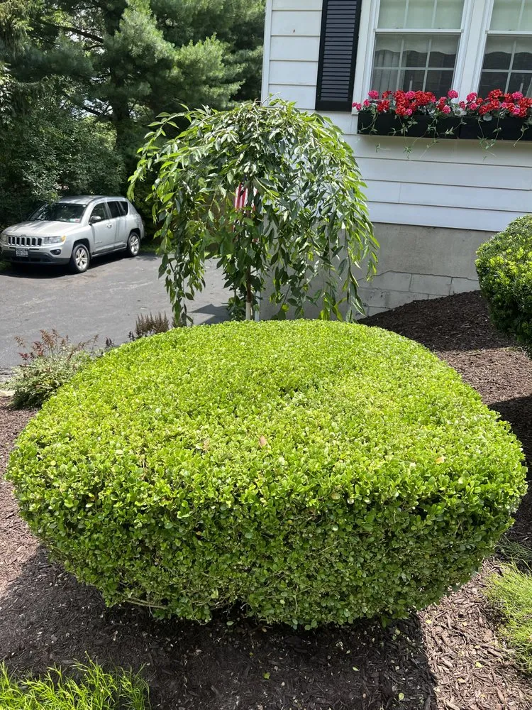 Reliable landscaping services for beautiful yards in Wappingers Falls, NY by Bettina's Landscaping