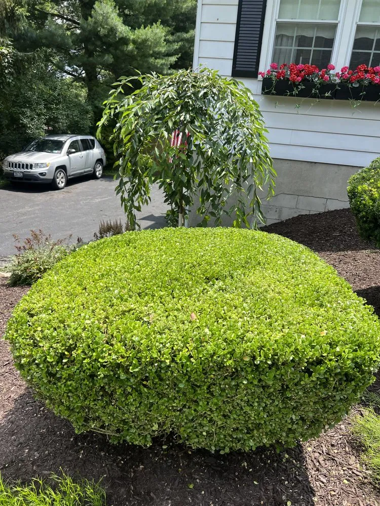 Reliable landscape installation for homes in Wappingers Falls, NY by Bettina's Landscaping