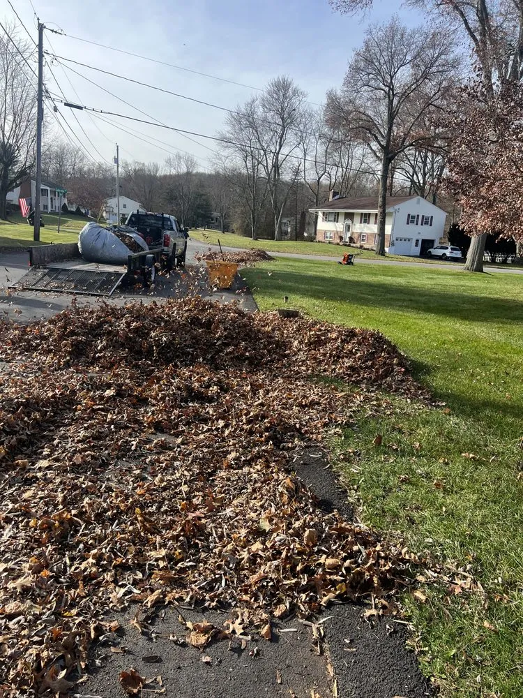 Trusted yard cleanup service in Wappingers Falls, NY - Bettina's Landscaping