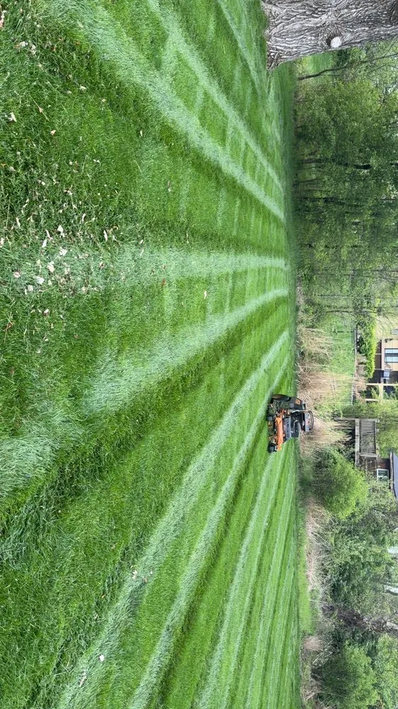 Professional yard cleanup service in Smithville, MO by Bettis Lawncare