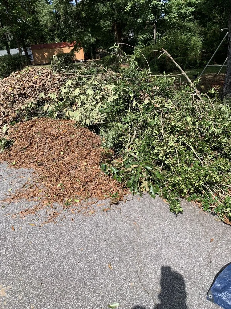 Affordable residential landscaping experts serving Salisbury, NC - Betty Lawn Care