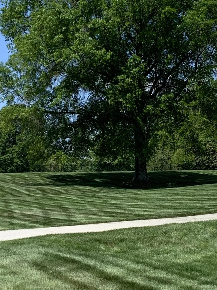 Expert residential landscaping near you across Salisbury, NC - Betty Lawn Care