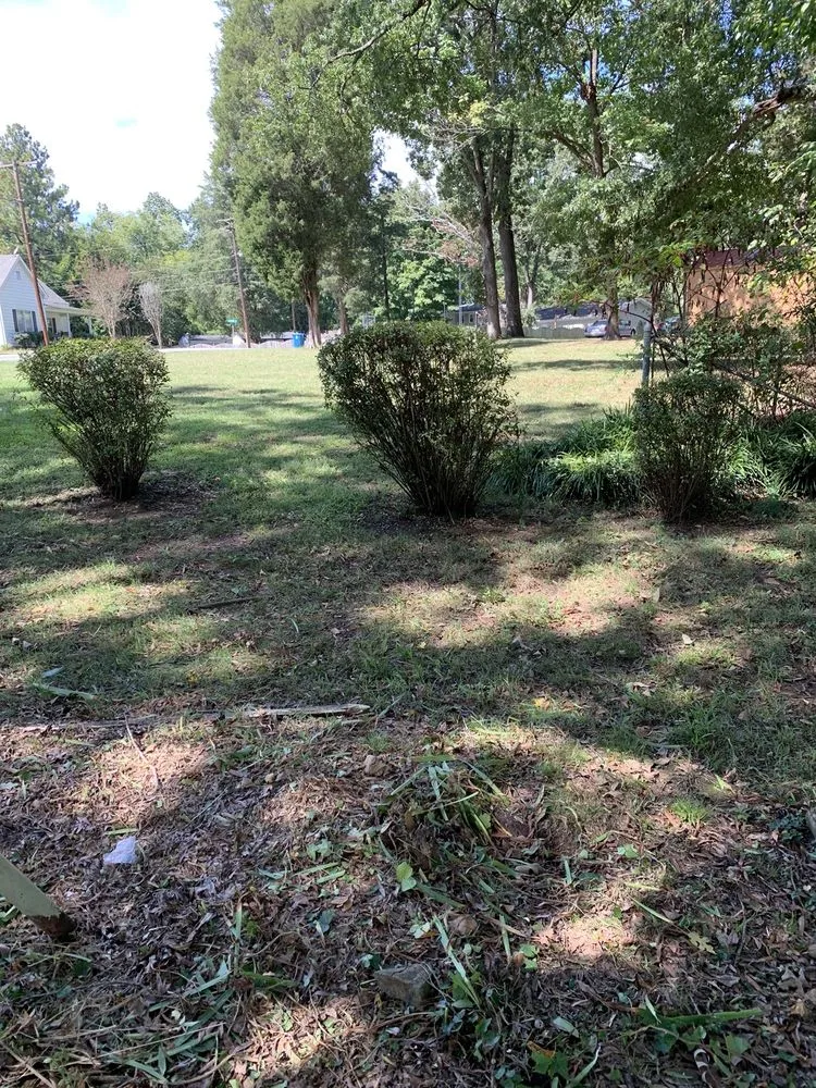 Top-rated yard maintenance in Salisbury, NC by Betty Lawn Care