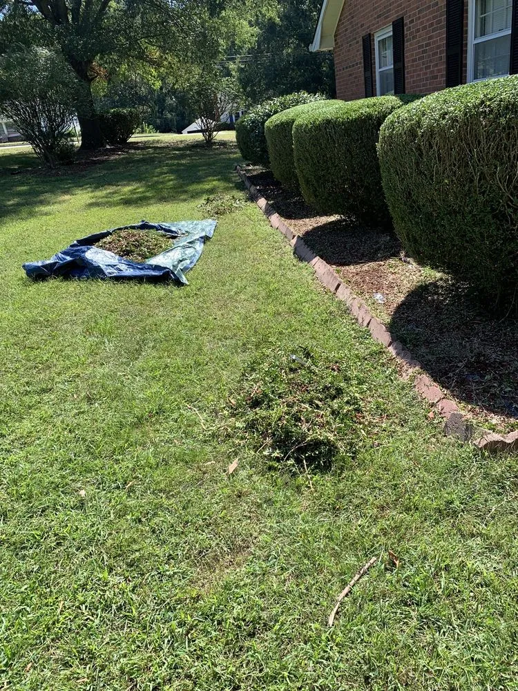 Professional yard cleanup service for residential properties in Salisbury, NC by Betty Lawn Care