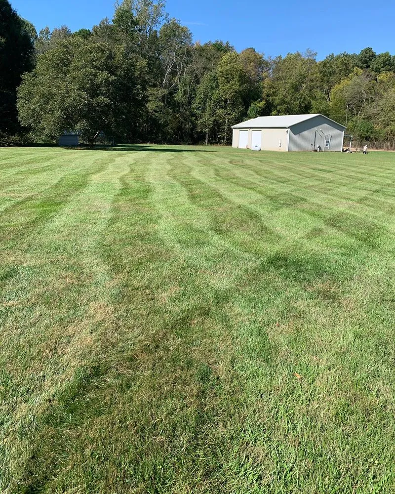 Professional lawn care service in Salisbury, NC by Betty Lawn Care