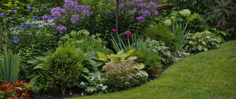 Expert yard cleanup service in Fairfax, VA by Betty's Azalea Ranch