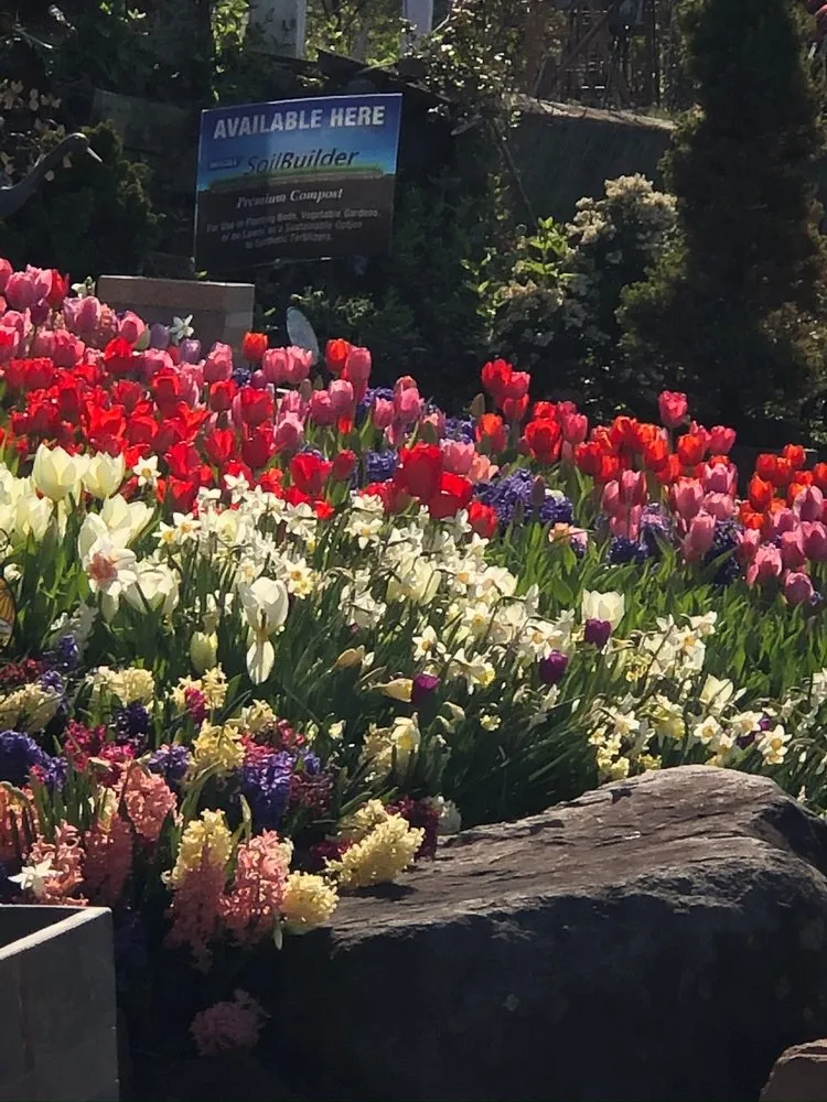 Reliable yard maintenance in Fairfax, VA by Betty's Azalea Ranch