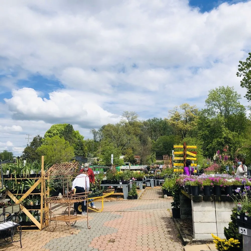 Affordable outdoor landscaping for year-round maintenance in Fairfax, VA by Betty's Azalea Ranch