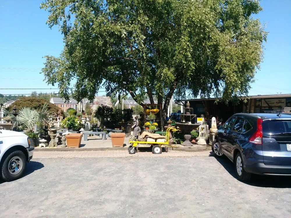 Affordable yard cleanup service for residential properties in Fairfax, VA by Betty's Azalea Ranch