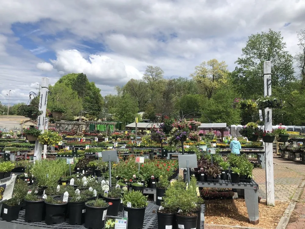 Affordable outdoor landscaping for outdoor upgrades in Fairfax, VA by Betty's Azalea Ranch