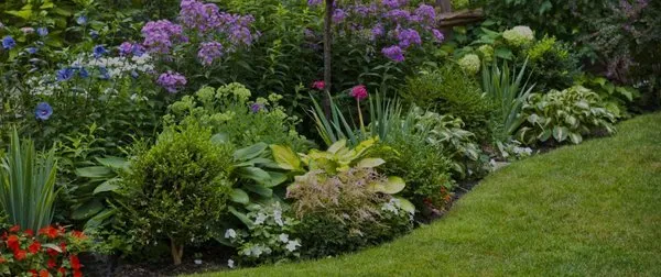 Betty's Azalea Ranch Logo