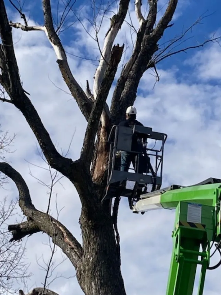 Expert garden landscaping for residential properties across Monett, MO - Between Hard Times