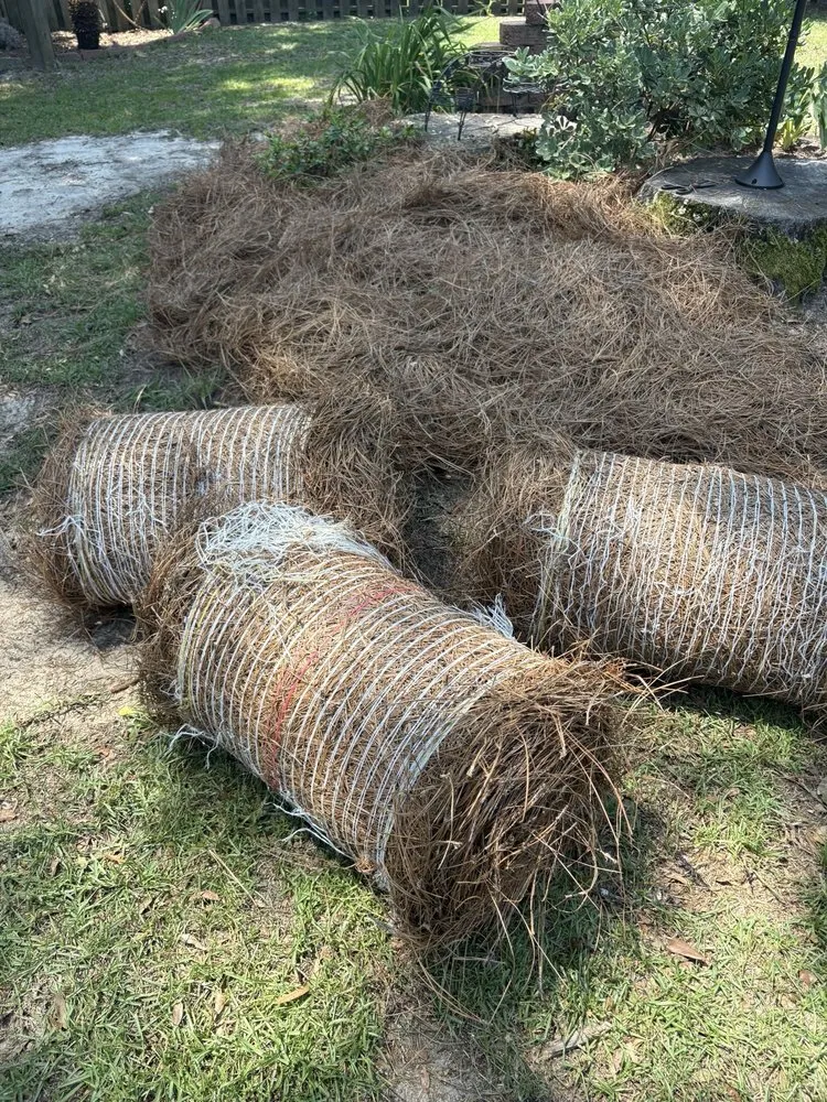 Expert landscaping services in North Augusta, SC by Between The Edges Lawn Care & Landscaping