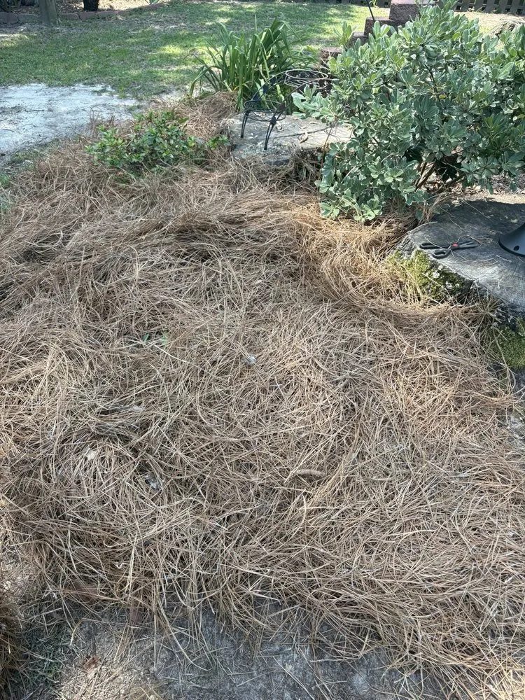 Local yard cleanup service for year-round maintenance in North Augusta, SC by Between The Edges Lawn Care & Landscaping