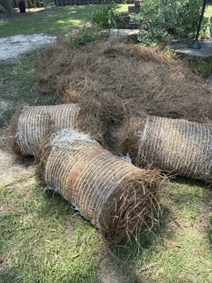 Between The Edges Lawn Care & Landscaping Logo